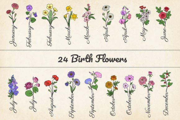 24 Minimalist Birth Month Flowers: SVG Graphics & Illustrations
