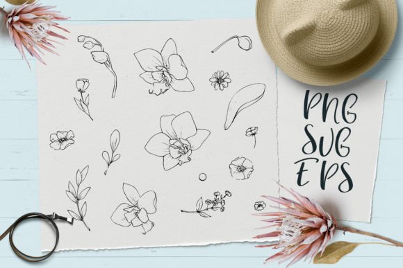 Delicate Flowers: Graphics & Illustrations for Branding