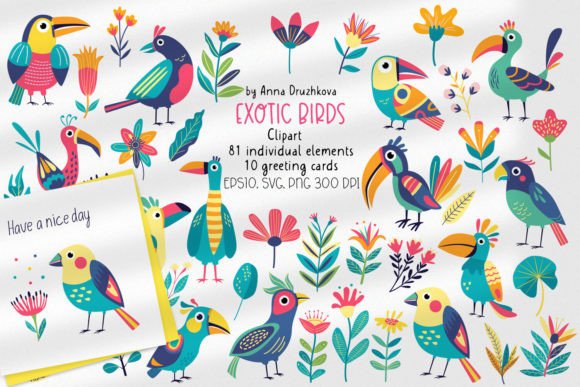 Exotic Birds and Flowers Clipart: Graphics & Illustrations Review