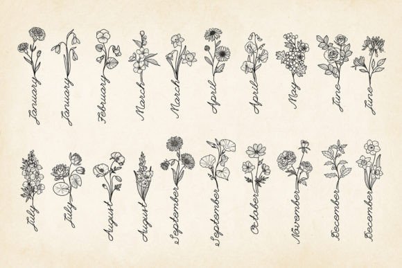 Hand-drawn Birth Flowers: Graphics & Illustrations
