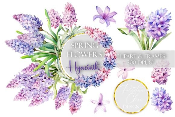 Hyacinth Clipart: Spring Graphics & Illustrations
