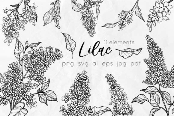 Lilac Flowers Line Art SVG: Elegant Graphics & Illustrations
