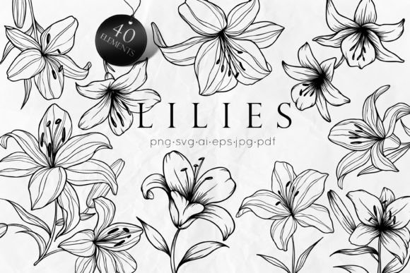 Lily Flowers Line Art SVG: A Designer's Real-World Review