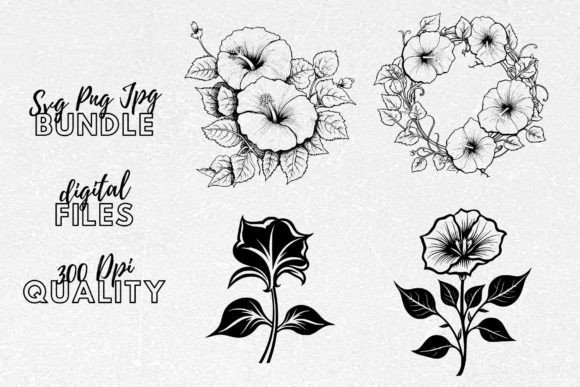 Morning Glory SVG: Graphics for Crafts