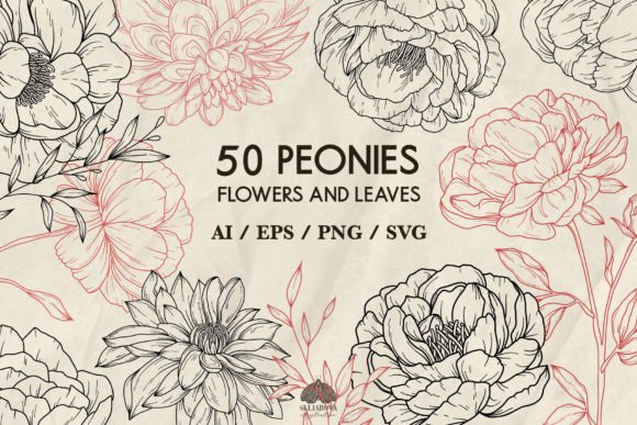 Peony Flowers Svg Png Eps: Premium Graphics & Illustrations