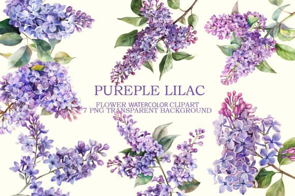 Purple Lilac Flowers Clipart Bundle: Premium Graphics