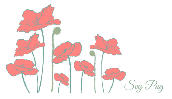 Red Flowers Border: Premium Graphics & Illustrations