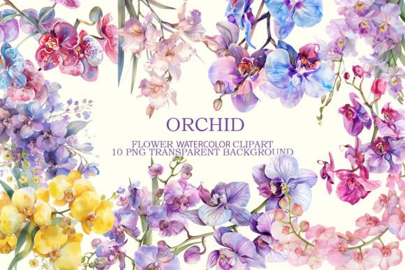 Watercolor Orchid Flowers Clipart Bundle: Graphics & Illustrations