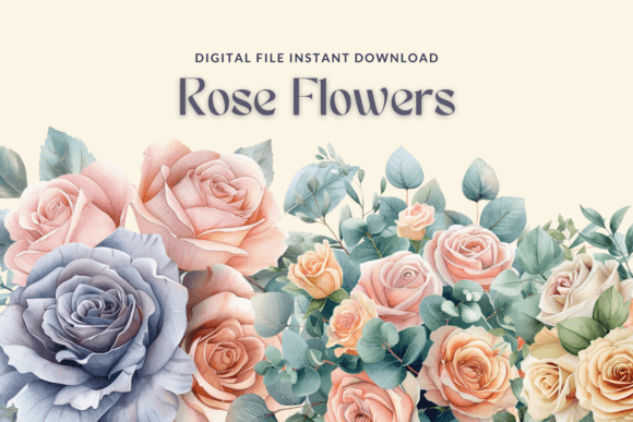Watercolor Roses Graphics: Pastel Illustrations Review